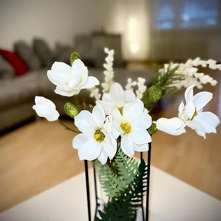 Apartment Apartment Center *